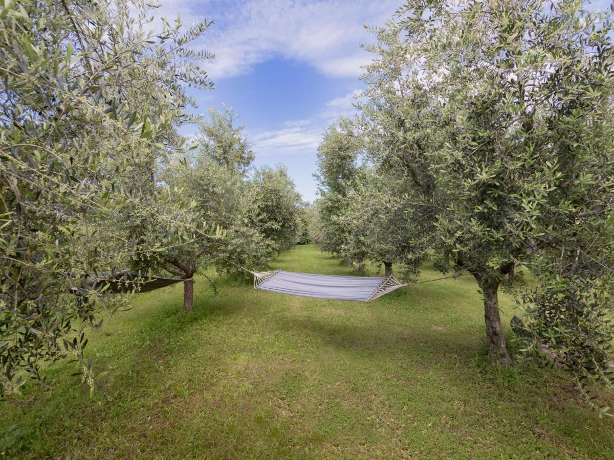 Wonderful Villa Botticelli Кавайон Веронезе Екстериор снимка
